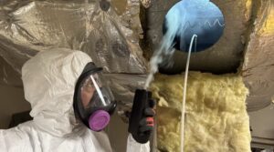 mold removal